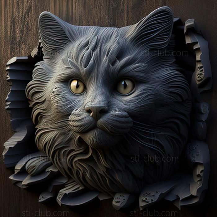 st Nebelung cat